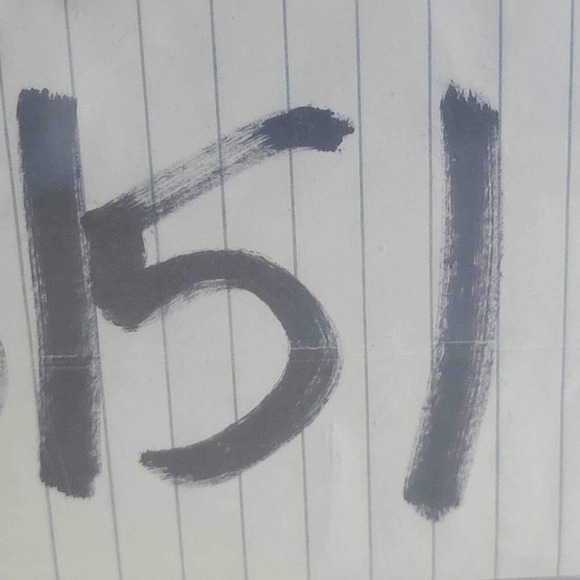 Polo Ralph Lauren Big Shirt Oxford Men's L Green Striped SS Button Down Cotton - Picture 10 of 10